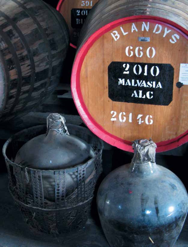 Иллюстрация к книге — Кулинарная энциклопедия. Том 19. М (Мальвазия – Мастика) [_1.jpg]