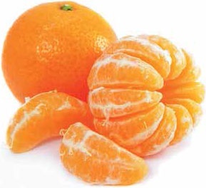 Иллюстрация к книге — Кулинарная энциклопедия. Том 19. М (Мальвазия – Мастика) [_17.jpg]