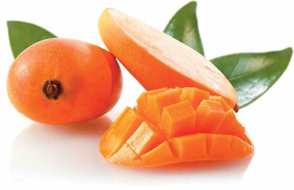 Иллюстрация к книге — Кулинарная энциклопедия. Том 19. М (Мальвазия – Мастика) [_6.jpg]