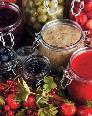 Иллюстрация к книге — Кулинарная энциклопедия. Том 19. М (Мальвазия – Мастика) [_64.jpg]