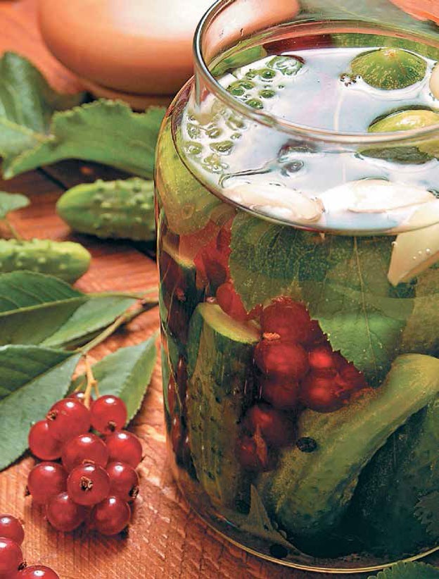 Иллюстрация к книге — Кулинарная энциклопедия. Том 18. Л-М (Логанова ягода – Малосольные огурцы) [_103.jpg]