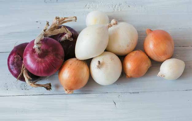 Иллюстрация к книге — Кулинарная энциклопедия. Том 18. Л-М (Логанова ягода – Малосольные огурцы) [_27.jpg]