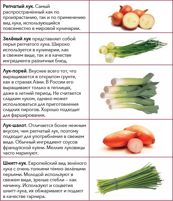 Иллюстрация к книге — Кулинарная энциклопедия. Том 18. Л-М (Логанова ягода – Малосольные огурцы) [_28.jpg]