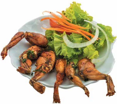 Иллюстрация к книге — Кулинарная энциклопедия. Том 18. Л-М (Логанова ягода – Малосольные огурцы) [_54.jpg]