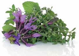 Иллюстрация к книге — Кулинарная энциклопедия. Том 18. Л-М (Логанова ягода – Малосольные огурцы) [_65.jpg]