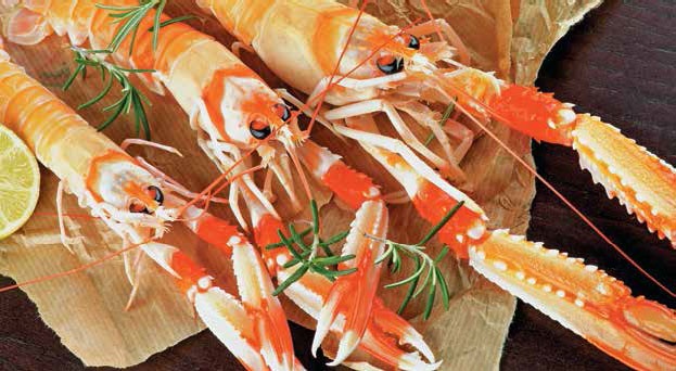 Иллюстрация к книге — Кулинарная энциклопедия. Том 17. Л (Лакса – Лобио) [_12.jpg]