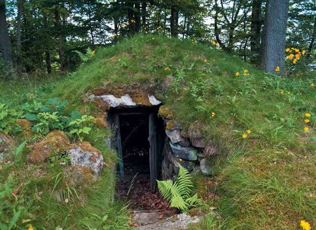 Иллюстрация к книге — Кулинарная энциклопедия. Том 17. Л (Лакса – Лобио) [_34.jpg]