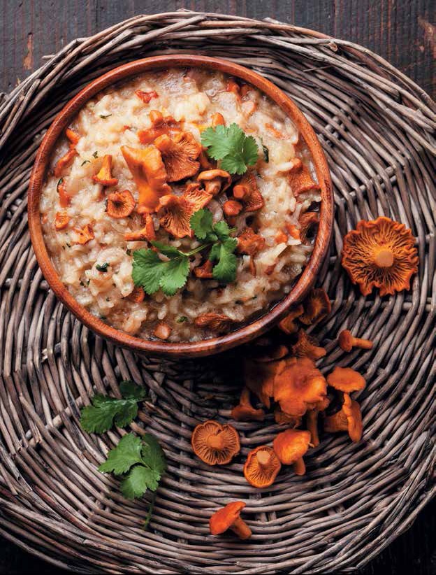 Иллюстрация к книге — Кулинарная энциклопедия. Том 17. Л (Лакса – Лобио) [_81.jpg]