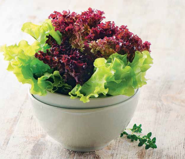 Иллюстрация к книге — Кулинарная энциклопедия. Том 17. Л (Лакса – Лобио) [_86.jpg]