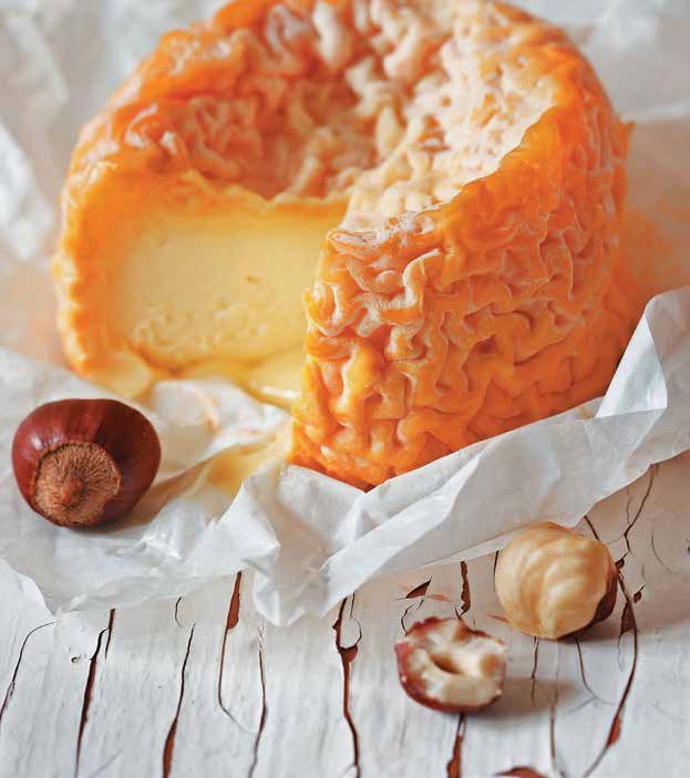 Иллюстрация к книге — Кулинарная энциклопедия. Том 17. Л (Лакса – Лобио) [_9.jpg]