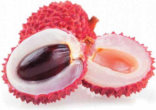 Иллюстрация к книге — Кулинарная энциклопедия. Том 17. Л (Лакса – Лобио) [_91.jpg]