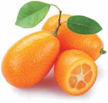 Иллюстрация к книге — Кулинарная энциклопедия. Том 16. К-Л (Куллама – Лакрица) [_5.jpg]