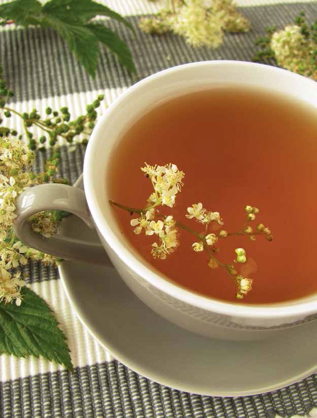 Иллюстрация к книге — Кулинарная энциклопедия. Том 16. К-Л (Куллама – Лакрица) [_70.jpg]