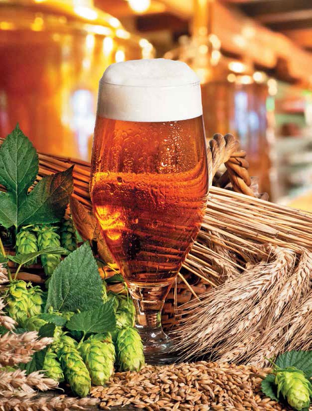 Иллюстрация к книге — Кулинарная энциклопедия. Том 16. К-Л (Куллама – Лакрица) [_82.jpg]