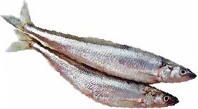 Иллюстрация к книге — Кулинарная энциклопедия. Том 14. К (Коньяк – Крахмал) [_37.jpg]