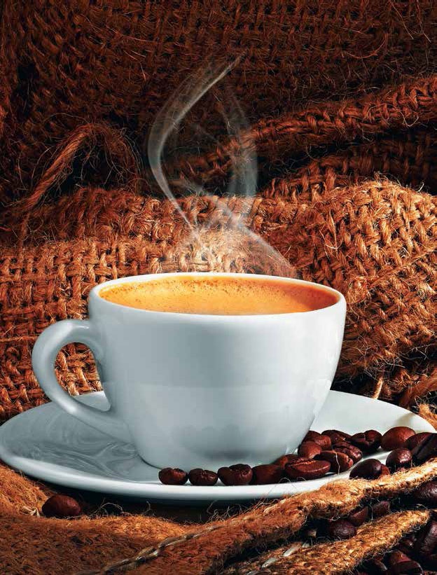 Иллюстрация к книге — Кулинарная энциклопедия. Том 14. К (Коньяк – Крахмал) [_56.jpg]