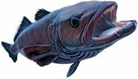 Иллюстрация к книге — Кулинарная энциклопедия. Том 13. К (Кладкака – Конфитюр) [_21.jpg]