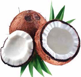 Иллюстрация к книге — Кулинарная энциклопедия. Том 13. К (Кладкака – Конфитюр) [_56.jpg]