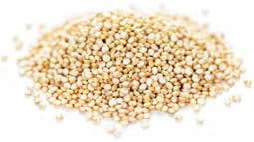 Иллюстрация к книге — Кулинарная энциклопедия. Том 12. К (Кашови – Кишмиш) [_72.jpg]