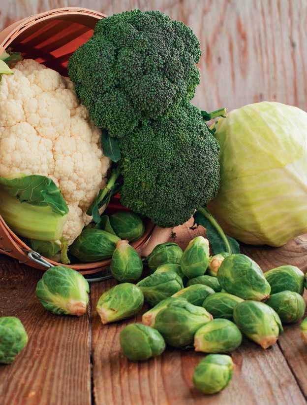 Иллюстрация к книге — Кулинарная энциклопедия. Том 11. К (Капиротада – Кашкавал) [_10.jpg]