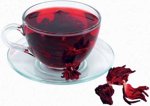 Иллюстрация к книге — Кулинарная энциклопедия. Том 11. К (Капиротада – Кашкавал) [_42.jpg]