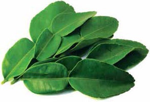 Иллюстрация к книге — Кулинарная энциклопедия. Том 11. К (Капиротада – Кашкавал) [_83.jpg]