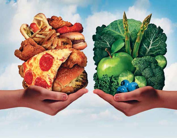 Иллюстрация к книге — Кулинарная энциклопедия. Том 10. И-К (Испанская кухня – Каперсы) [_63.jpg]