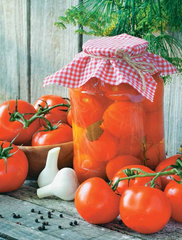 Иллюстрация к книге — Кулинарная энциклопедия. Том 9. Ж-И (Жинжинья – Исландская заправка) [_42.jpg]