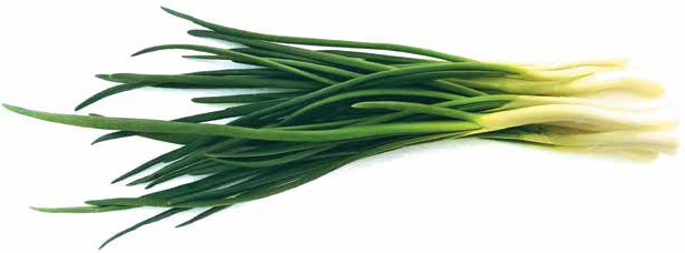 Иллюстрация к книге — Кулинарная энциклопедия. Том 9. Ж-И (Жинжинья – Исландская заправка) [_49.jpg]