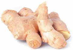 Иллюстрация к книге — Кулинарная энциклопедия. Том 9. Ж-И (Жинжинья – Исландская заправка) [_74.jpg]