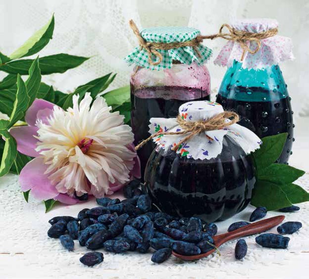 Иллюстрация к книге — Кулинарная энциклопедия. Том 8. Д-Ж (Даубе – Жимолость [_101.jpg]