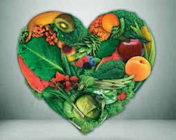 Иллюстрация к книге — Кулинарная энциклопедия. Том 8. Д-Ж (Даубе – Жимолость [_25.jpg]