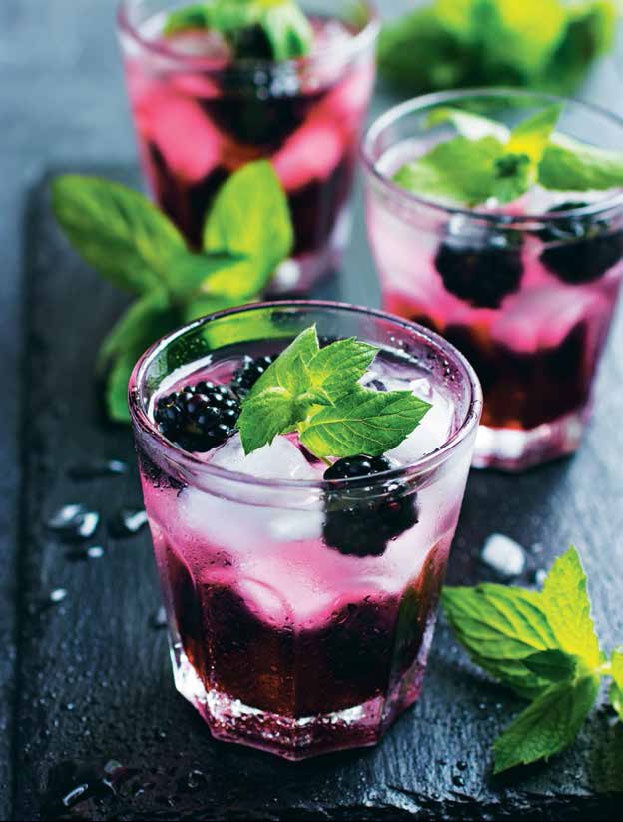 Иллюстрация к книге — Кулинарная энциклопедия. Том 8. Д-Ж (Даубе – Жимолость [_69.jpg]