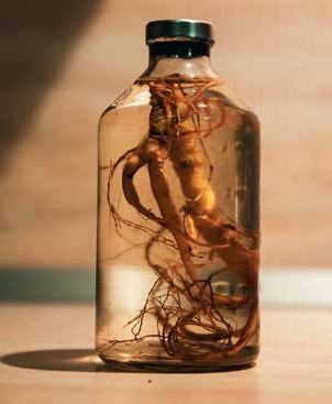 Иллюстрация к книге — Кулинарная энциклопедия. Том 8. Д-Ж (Даубе – Жимолость [_95.jpg]