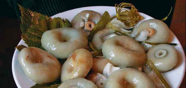 Иллюстрация к книге — Кулинарная энциклопедия. Том 7. Г-Д. Граппа - Датские булочки [_50.jpg]