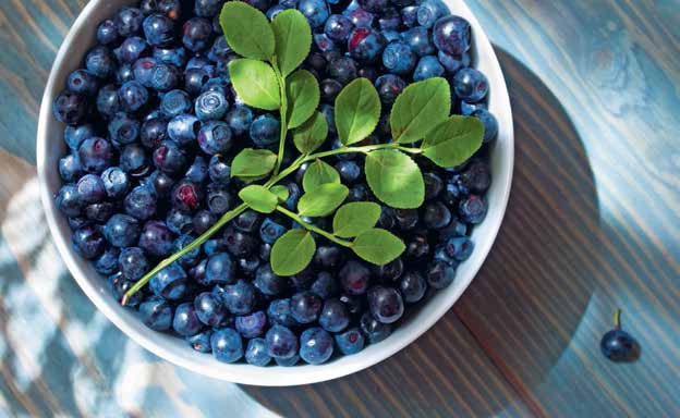 Иллюстрация к книге — Кулинарная энциклопедия. Том 6. Г (Гамбринус – Гранита) [_58.jpg]