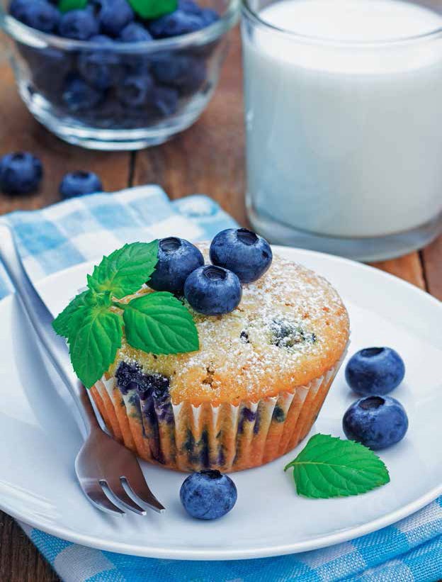 Иллюстрация к книге — Кулинарная энциклопедия. Том 6. Г (Гамбринус – Гранита) [_60.jpg]