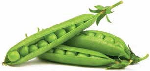 Иллюстрация к книге — Кулинарная энциклопедия. Том 6. Г (Гамбринус – Гранита) [_76.jpg]