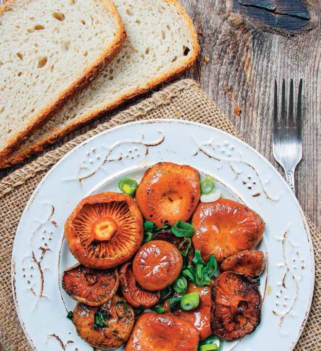 Иллюстрация к книге — Кулинарная энциклопедия. Том 6. Г (Гамбринус – Гранита) [_91.jpg]