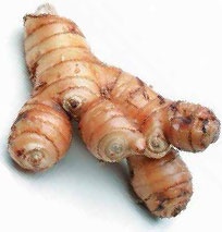 Иллюстрация к книге — Кулинарная энциклопедия. Том 5. В-Г (Венский шницель – Гамбо) [_104.jpg]