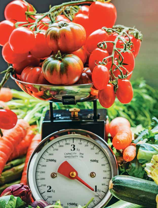 Иллюстрация к книге — Кулинарная энциклопедия. Том 5. В-Г (Венский шницель – Гамбо) [_16.jpg]