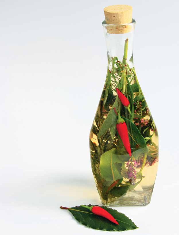 Иллюстрация к книге — Кулинарная энциклопедия. Том 5. В-Г (Венский шницель – Гамбо) [_39.jpg]