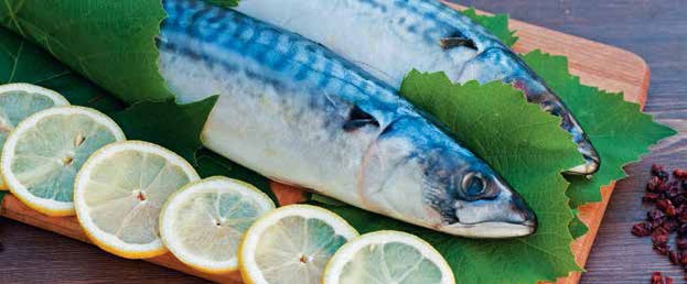 Иллюстрация к книге — Кулинарная энциклопедия. Том 5. В-Г (Венский шницель – Гамбо) [_48.jpg]