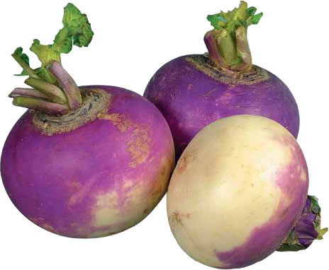 Иллюстрация к книге — Кулинарная энциклопедия. Том 4. Б-В (Брусника – Венгерские клёцки) [_10.jpg]