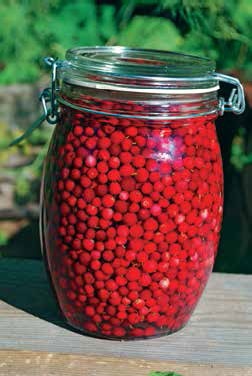 Иллюстрация к книге — Кулинарная энциклопедия. Том 4. Б-В (Брусника – Венгерские клёцки) [_5.jpg]