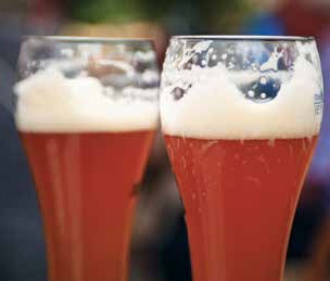 Иллюстрация к книге — Кулинарная энциклопедия. Том 4. Б-В (Брусника – Венгерские клёцки) [_64.jpg]