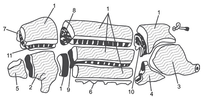Иллюстрация к книге — Секреты домашнего копчения [i_002.jpg]