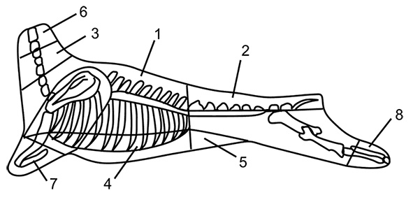 Иллюстрация к книге — Секреты домашнего копчения [i_005.jpg]
