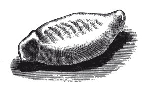 Иллюстрация к книге — Практические основы кулинарного искусства [i_016.jpg]