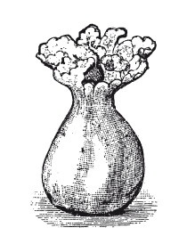 Иллюстрация к книге — Практические основы кулинарного искусства [i_018.jpg]